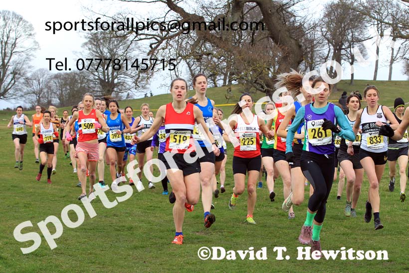 Senior Womens 2023 NEHL, Alnwick, Northumberland. Photo: David T. Hewitson/Sports for All Pics
